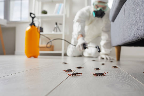 Commercial Kitchen Cockroach Control in Alta
